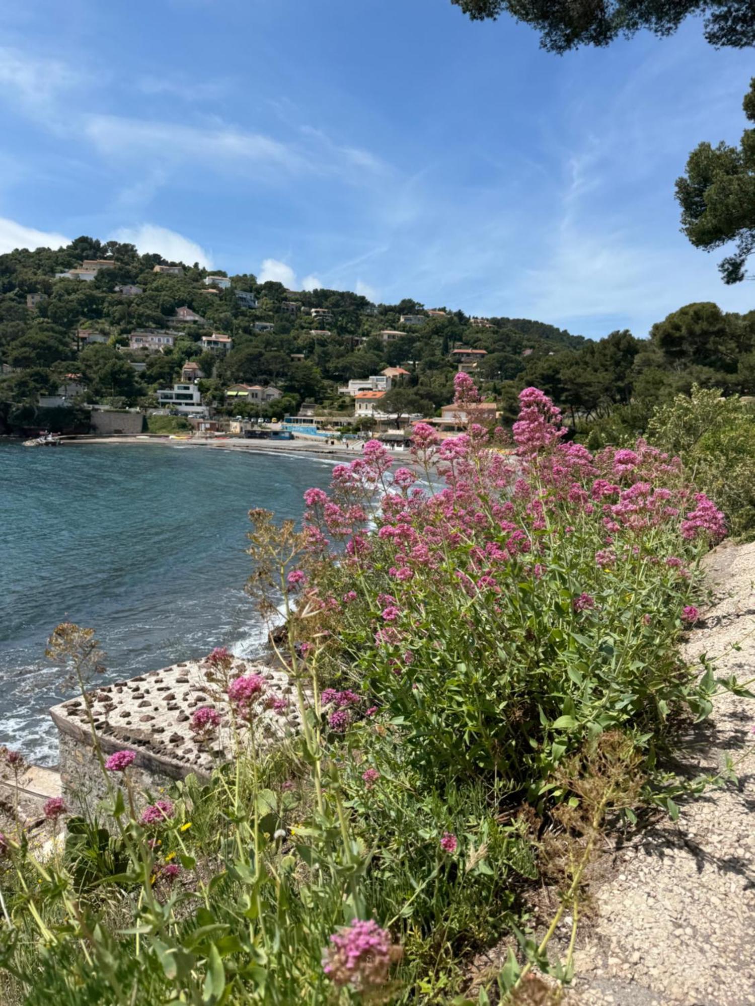 Chemin Du Bord De *